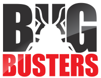 Ludetorjunnan edelläkävijä - Bug Busters Oy